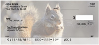 Squirrel Antics Personal Checks | ANJ-73