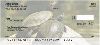 Box Turtles Personal Checks | ANJ-83