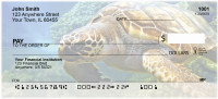 Swimming Sea Turtles Personal Checks | ANJ-85