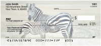 Zebra & Babies Personal Checks | ANJ-90