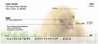 Spring Chicks Personal Checks | ANK-13