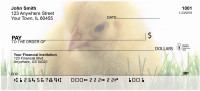 Spring Chicks Personal Checks | ANK-13