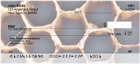 Honey Bees Personal Checks | ANK-17