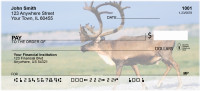 Caribou Personal Checks | ANK-24