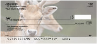 Deer Closeups Personal Checks | ANK-31