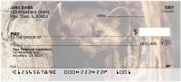 Ferrets Personal Checks | ANK-34
