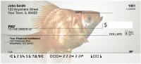 Goldfish Personal Checks | ANK-35