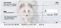 Fox In Winter Personal Checks | ANK-38