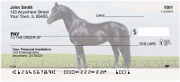 Award Winning Stallions Personal Checks | ANK-51