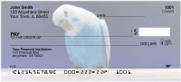 Parakeets On Parade Personal Checks | ANK-55
