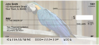Perky Parrots Personal Checks | BBA-67