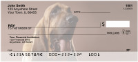 Bloodhound Portrait Personal Checks