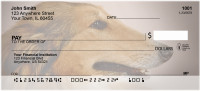 Cuddly Collie Personal Checks | BBA-93