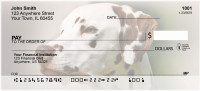 Dandy Dalmations Personal Checks | BBA-94