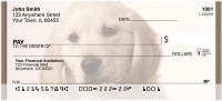 Golden Retriever Puppies Personal Checks | BBA-97