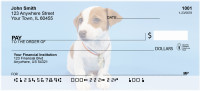 Jack Russell Puppy Love Personal Checks | BBB-04