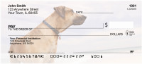 Beach Lab Personal Checks | BBB-10