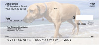 Beach Lab Personal Checks | BBB-10