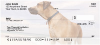 Beach Lab Personal Checks | BBB-10