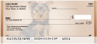 Yorkshire Trouble Personal Checks | BBB-32