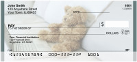 Beary High Tech Personal Checks | BBC-32
