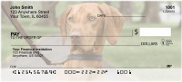 Loyal Hungarian Vizsla Personal Checks | BBD-95