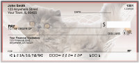 Kittens In Hammocks Personal Checks | BBI-09