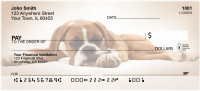 Boxer Daze | BBI-22