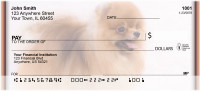 Playful Pomeranians | BBI-25