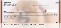 Playful Pomeranians | BBI-25