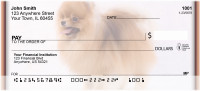 Playful Pomeranians | BBI-25