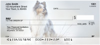 Shetland Sheep Dog | BBI-28