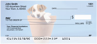Jack Russell Terrier Puppies | BCA-82