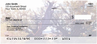 Cedar Trees | BCE-47