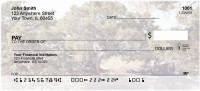 Cedar Trees | BCE-47