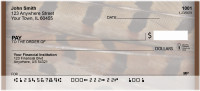 Pheasant Feathers | BCE-69