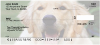 Adorable Golden Retrievers | BCE-71