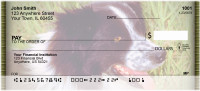 Border Collies Personal Checks | DOG-02