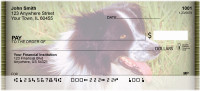 Border Collies Personal Checks | DOG-02