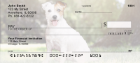 Jack Russell Terriers Personal Checks