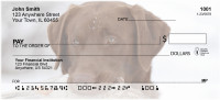Labradors At Work Personal Checks | DOG-29