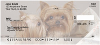 More Yorkies Checks | DOG-34