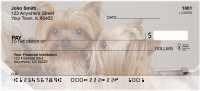 More Yorkies Checks | DOG-34