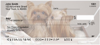 More Yorkies Checks | DOG-34