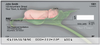 Baby New Beginnings Personal Checks | FAM-05