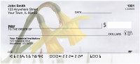 Daffodils First To Bloom Personal Checks | FLO-13