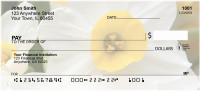 Colors On Fire Personal Checks | FLO-47