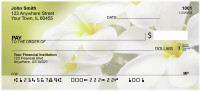 Plumeria Personal Checks | FLO-68