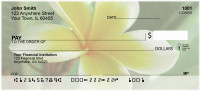 Plumeria Personal Checks | FLO-68