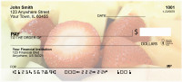 Fresh Fruits Personal Checks | FOD-38